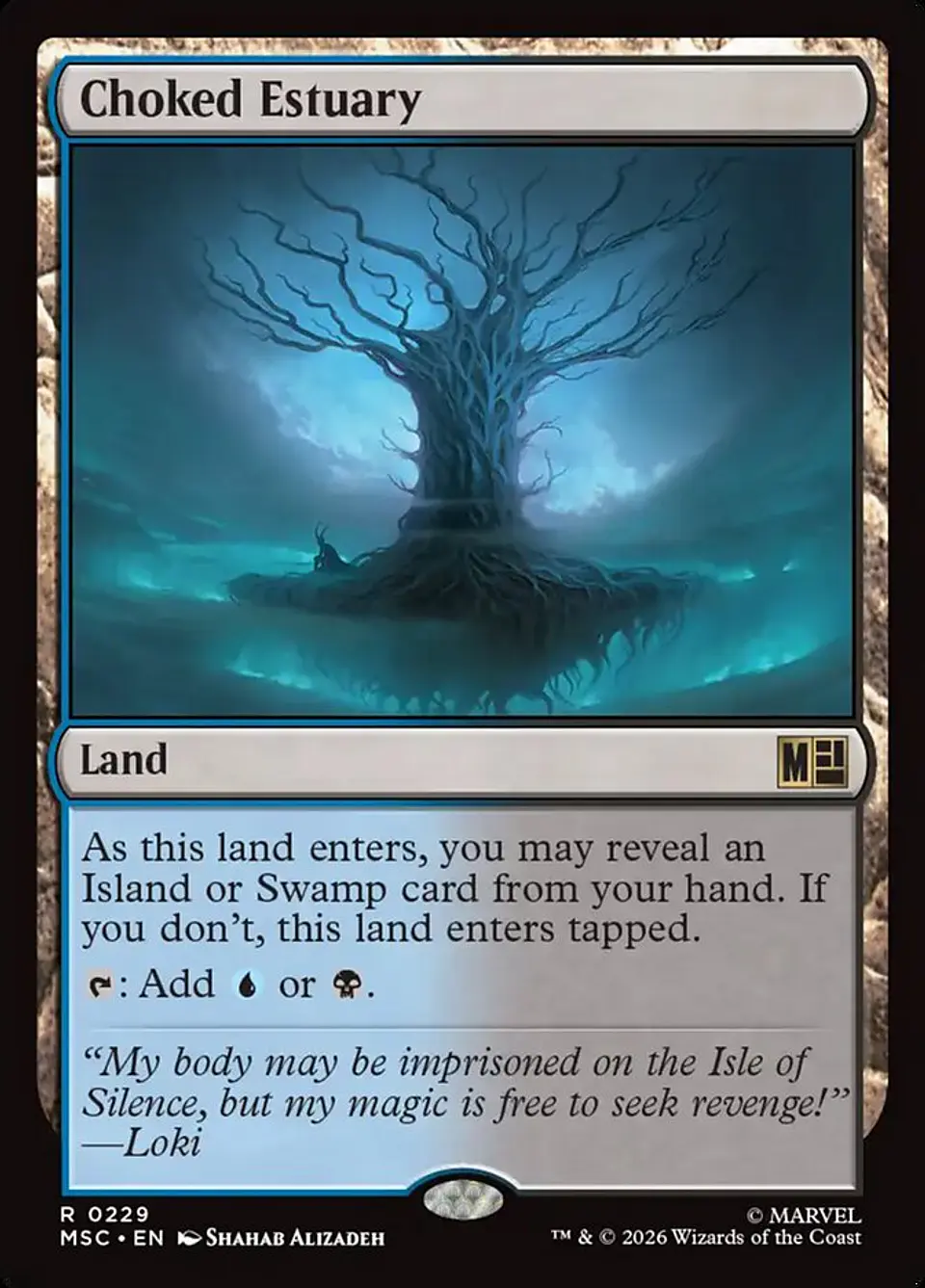Choked Estuary 1