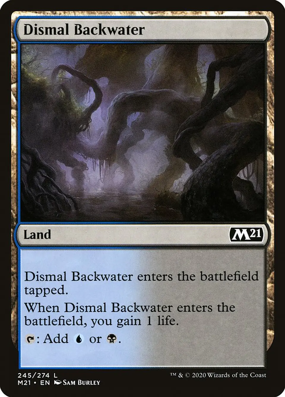 Dismal Backwater 1