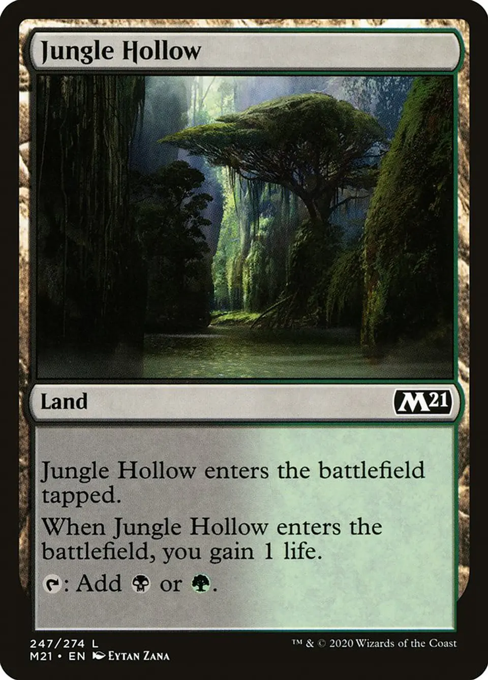 Jungle Hollow 1