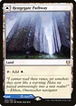 Hengegate Pathway // Mistgate Pathway - Miniatura 1