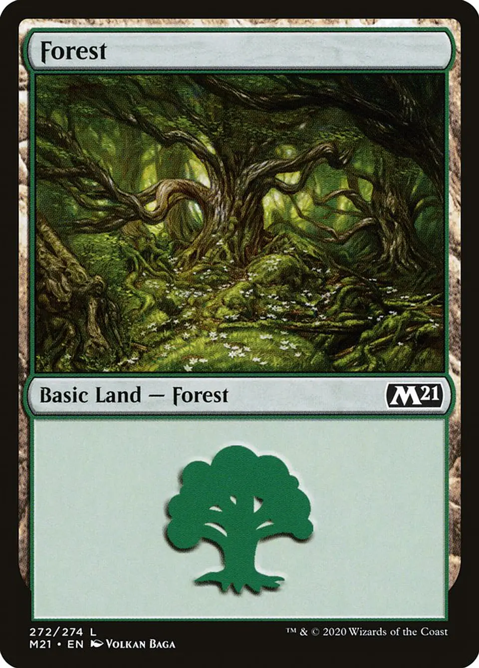 Forest 1