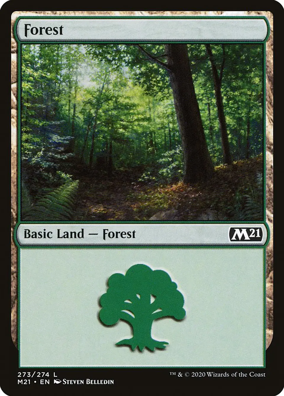 Forest 1