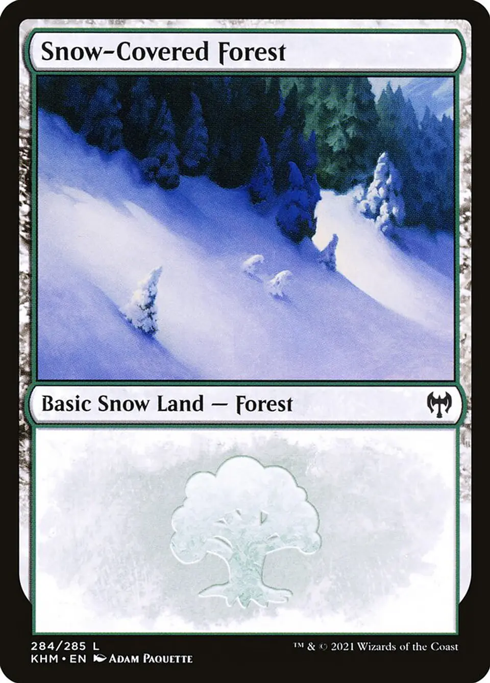Snow-Covered Forest 1