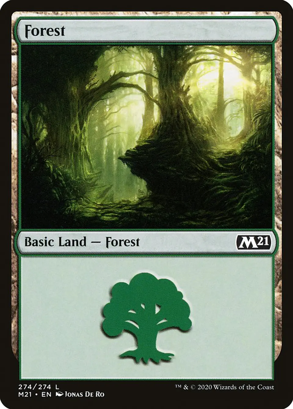 Forest 1