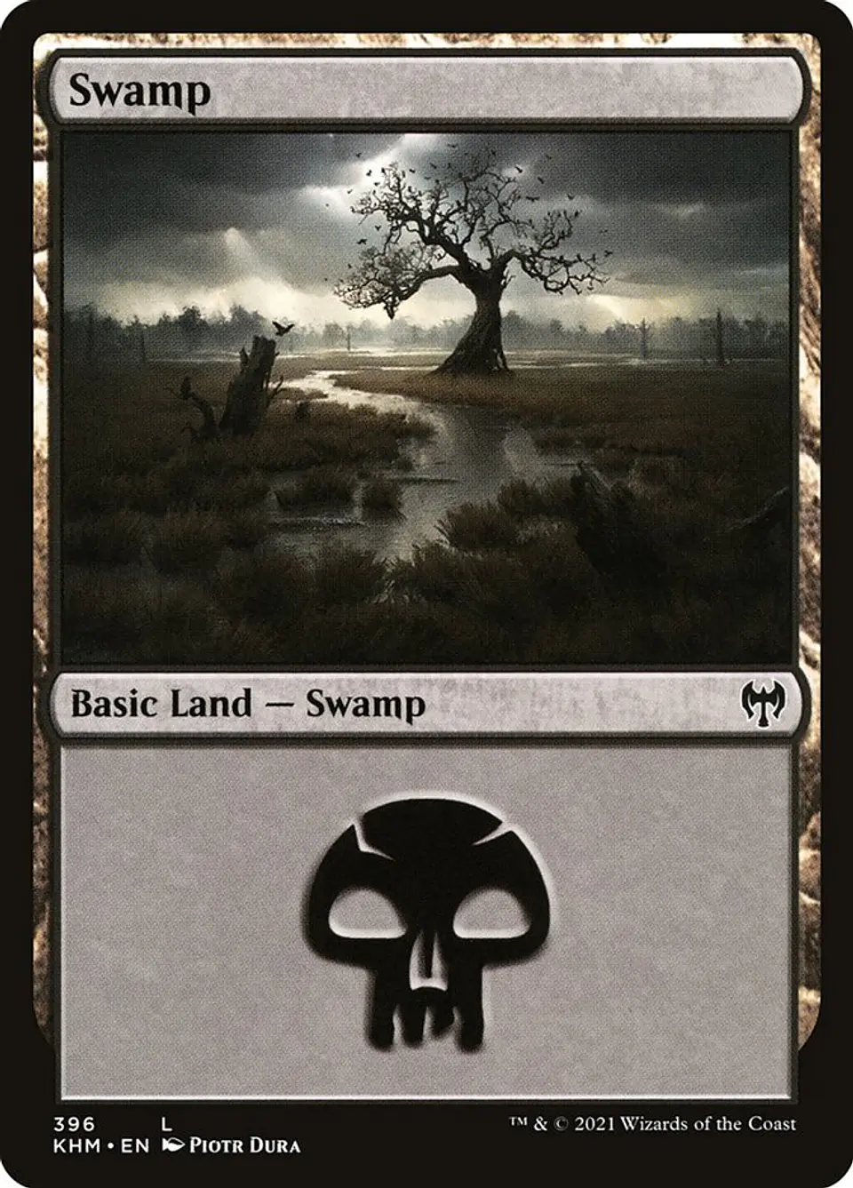 Swamp 1
