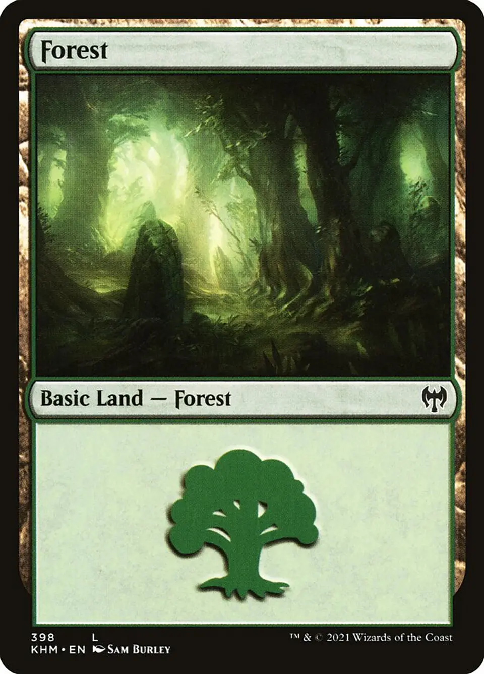 Forest 1