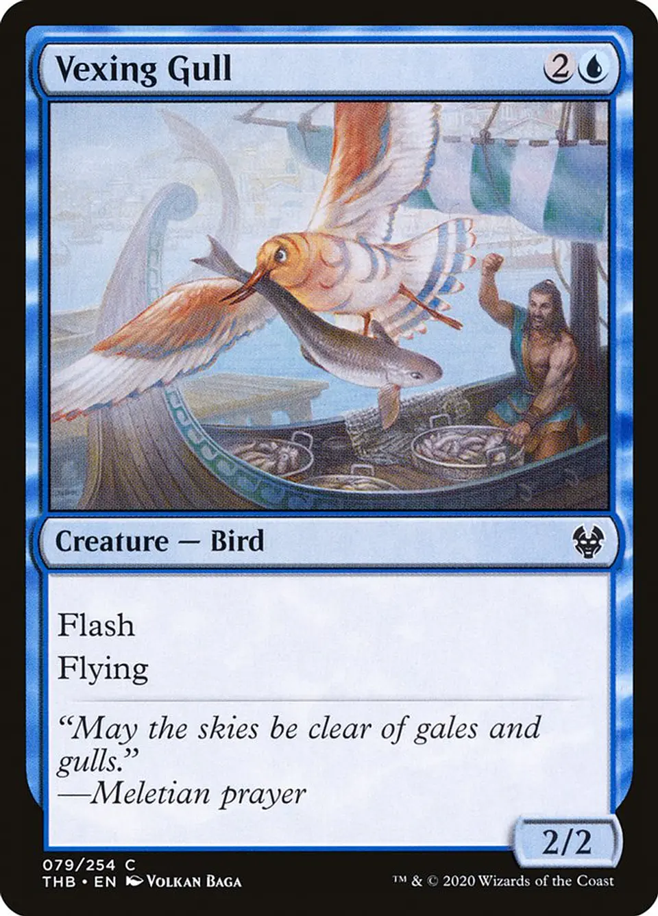 Vexing Gull 1