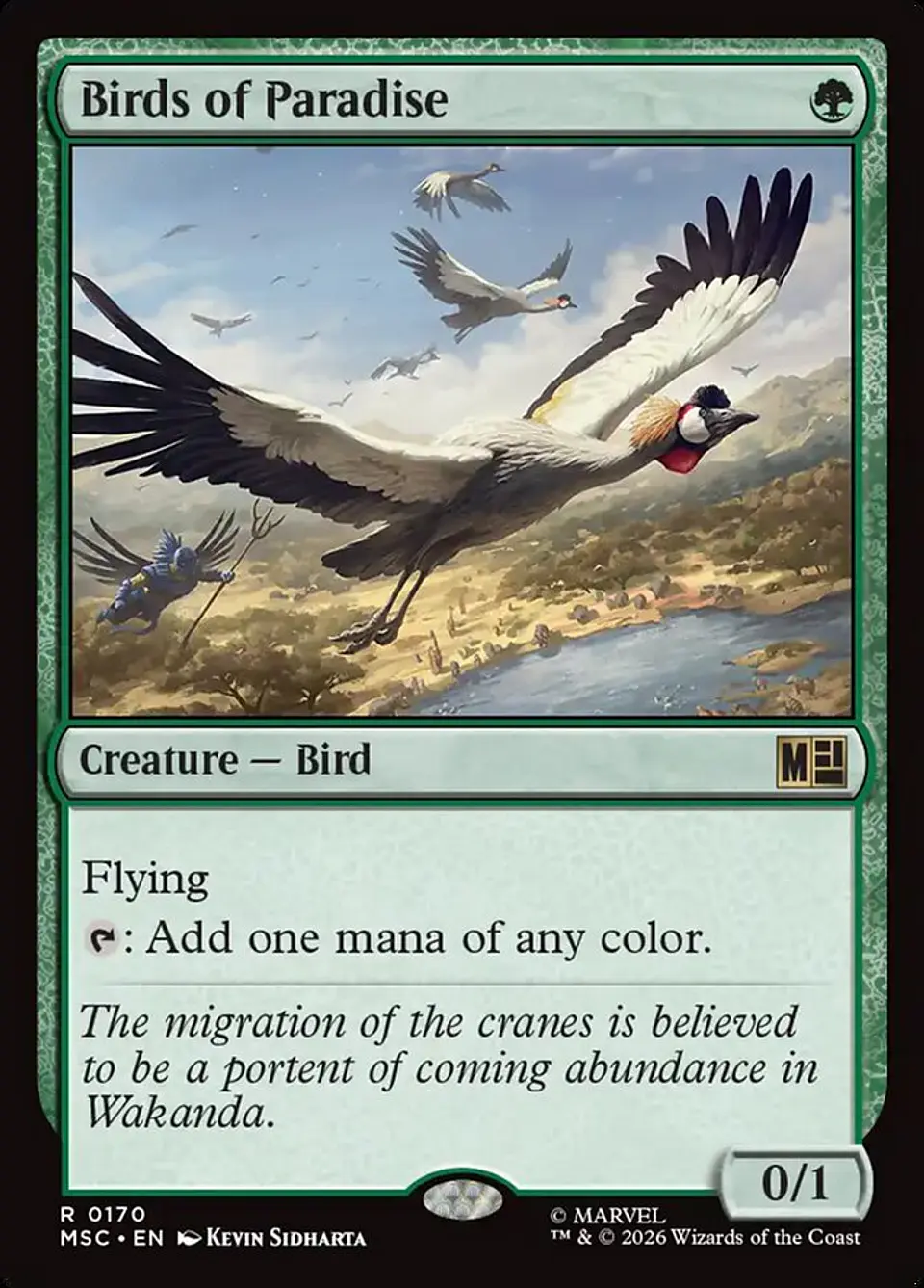 Birds of Paradise 1