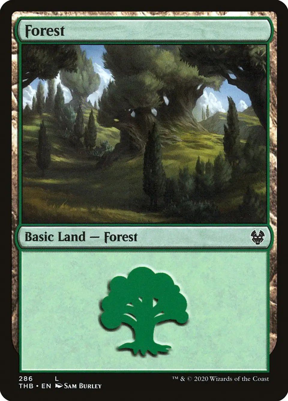 Forest 1