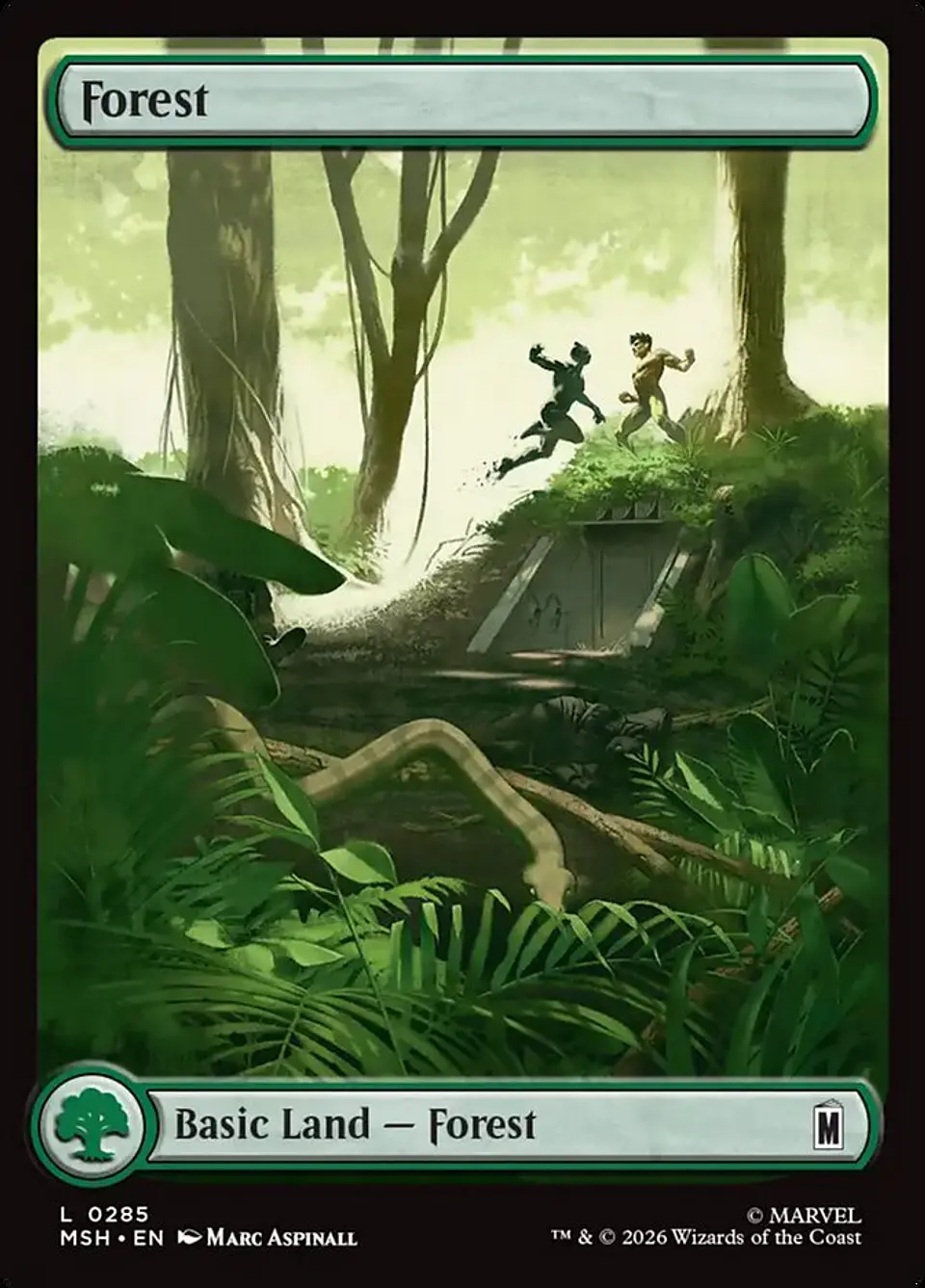 Forest (Full Art) 1
