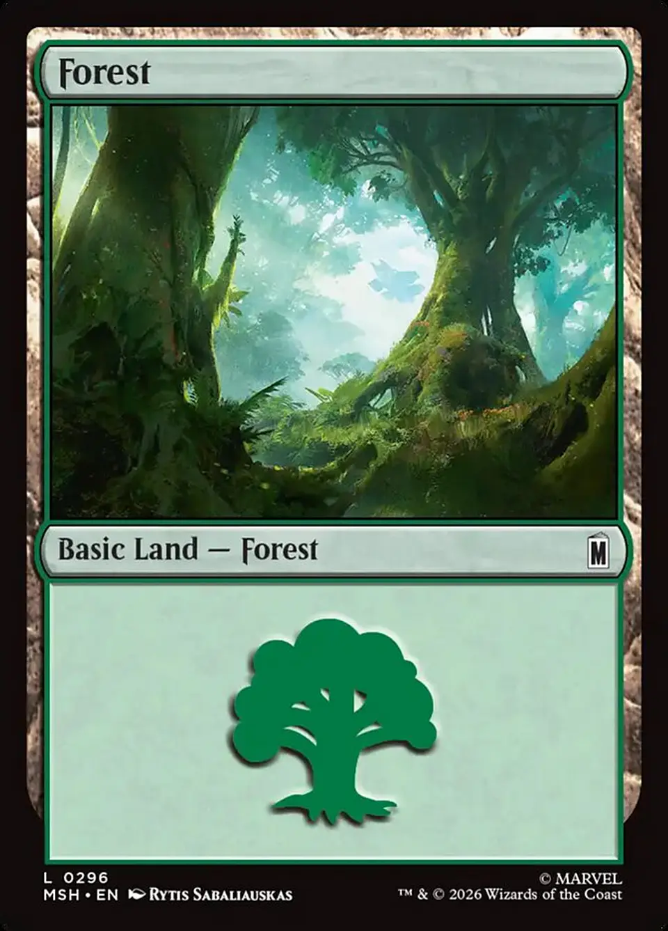 Forest 1