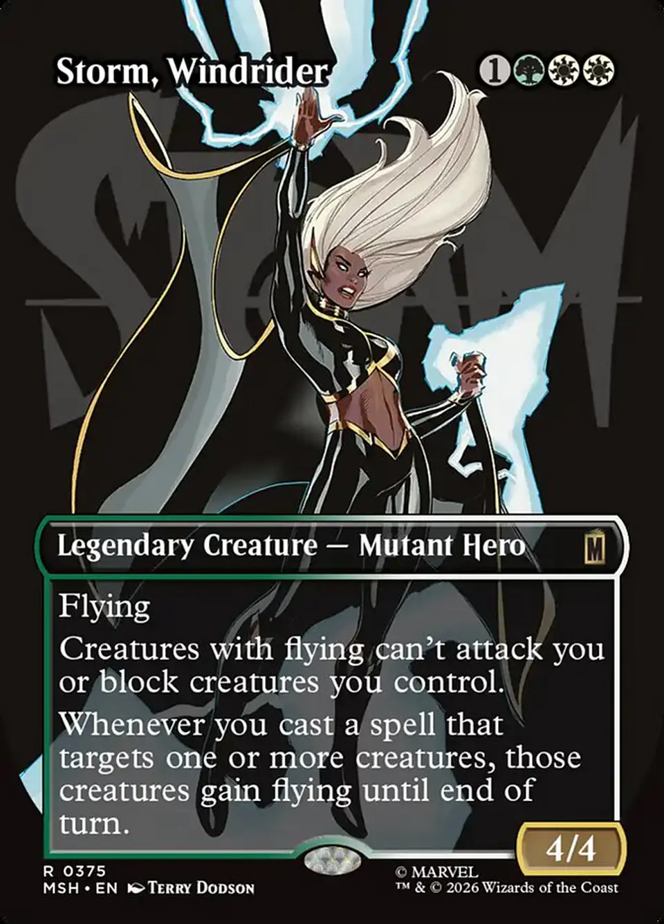 Storm, Windrider (Borderless) 1