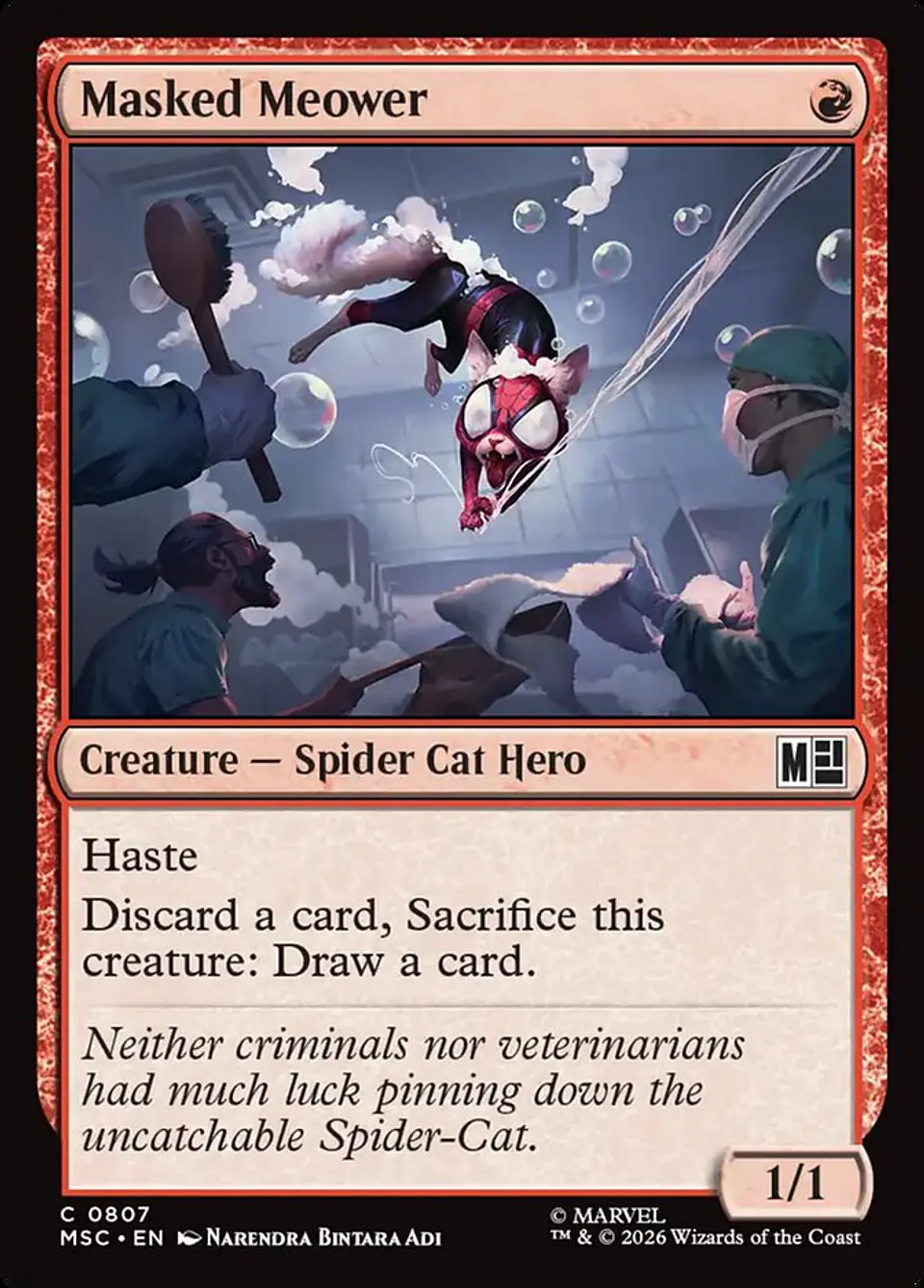 Masked Meower 1