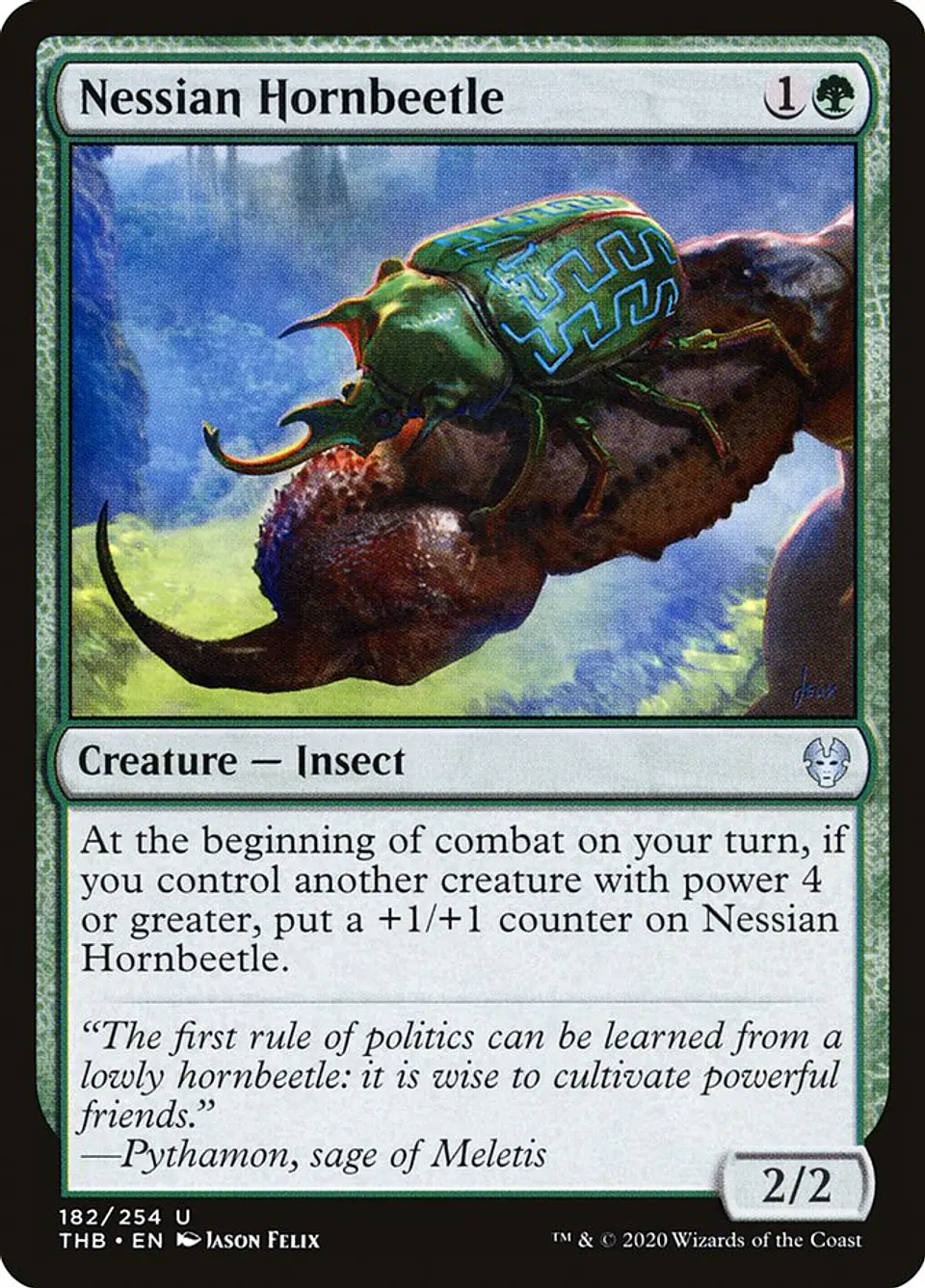 Nessian Hornbeetle 1