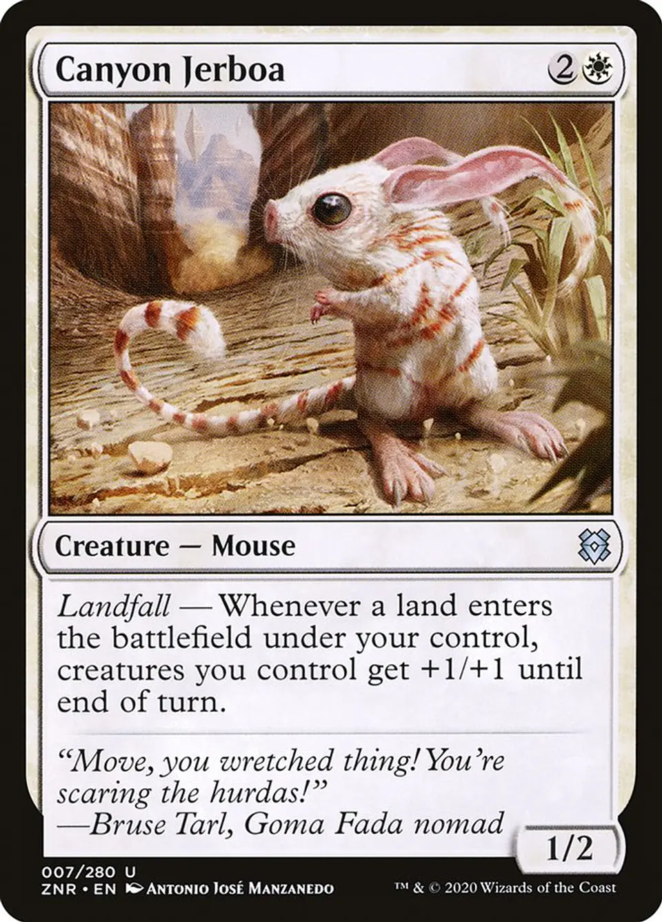 Canyon Jerboa 1