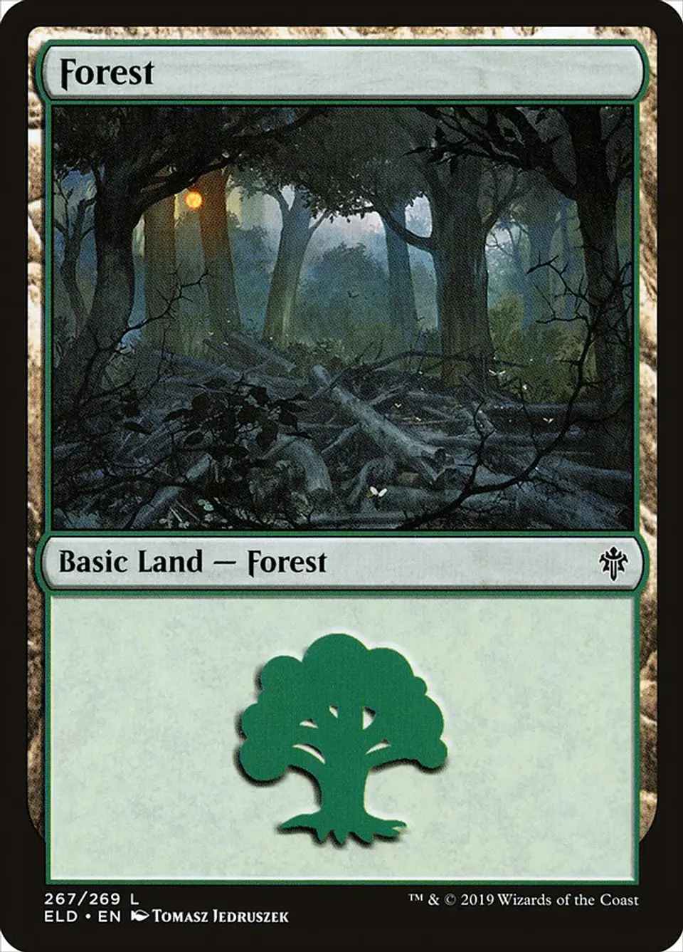 Forest 1