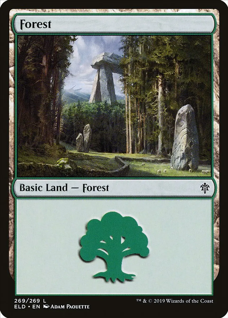 Forest 1