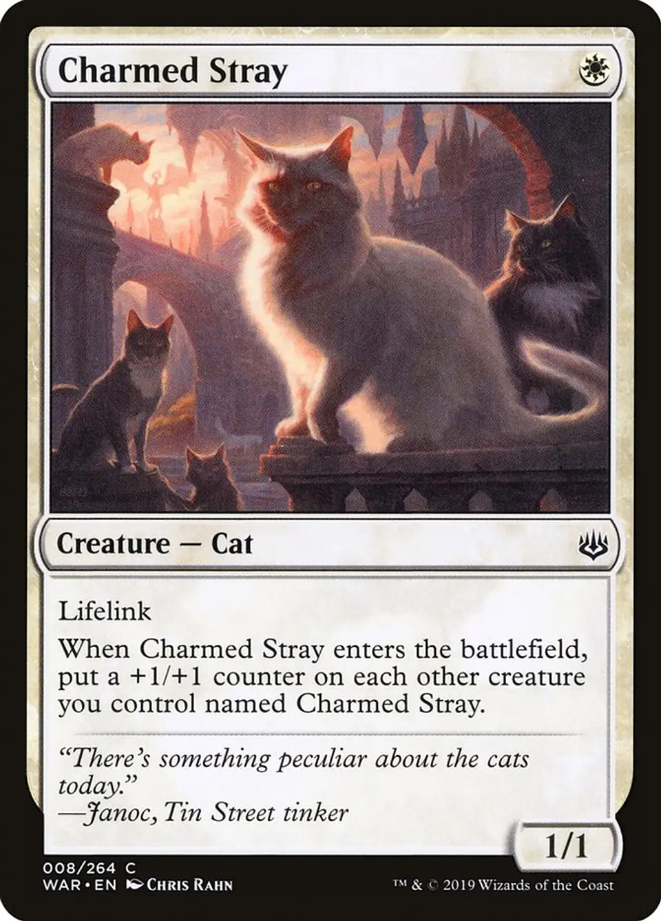 Charmed Stray 1