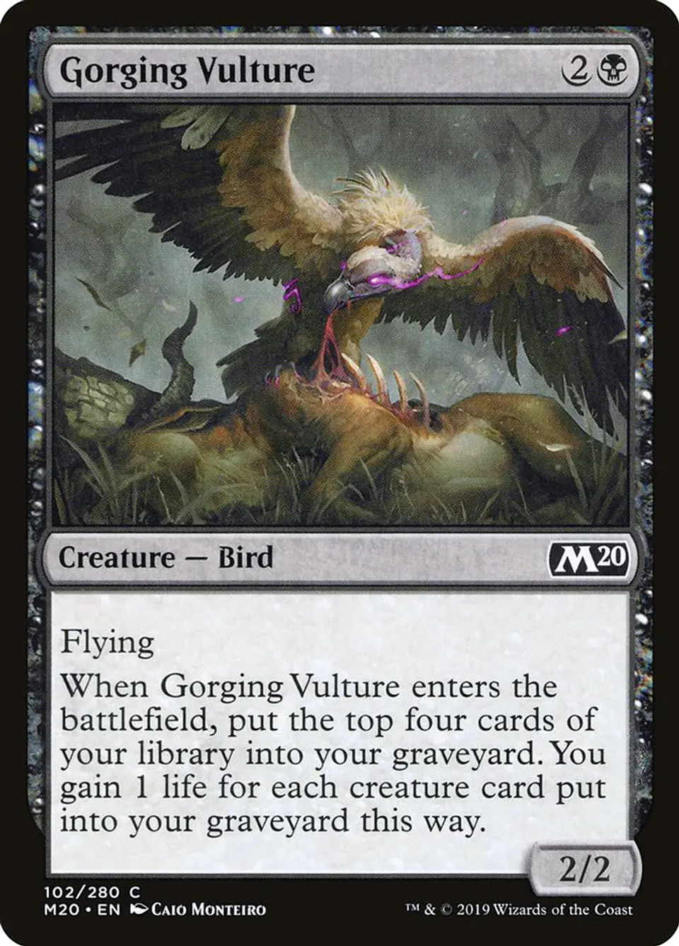 Gorging Vulture 1