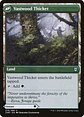 Vastwood Fortification // Vastwood Thicket - thumbnail 2
