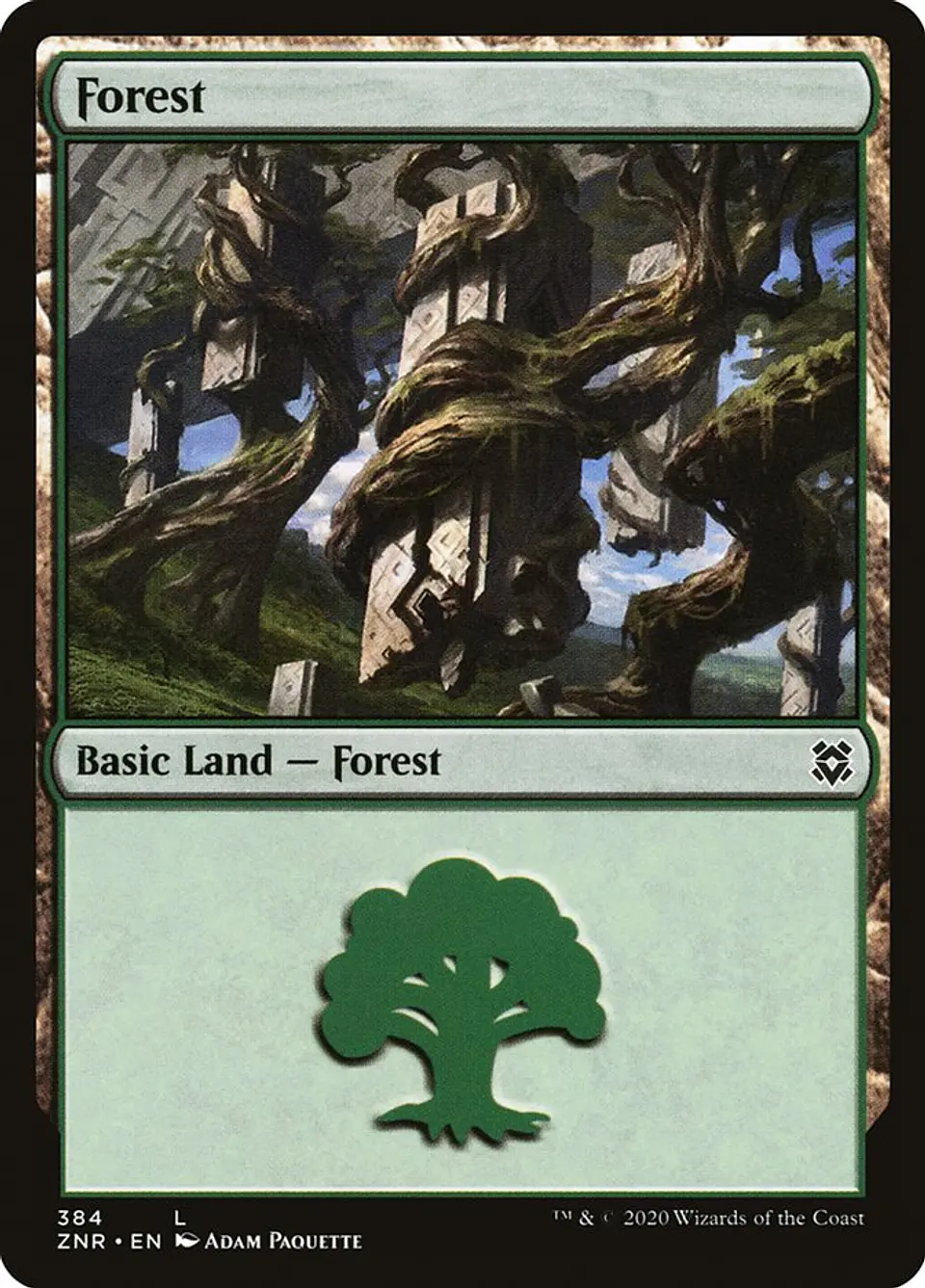 Forest 1