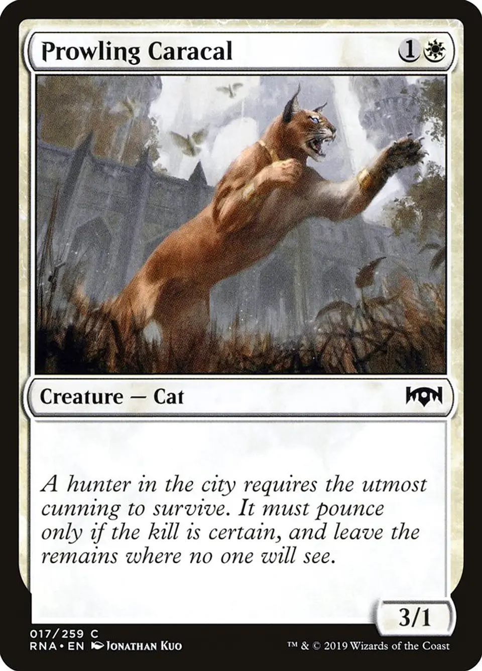 Prowling Caracal 1