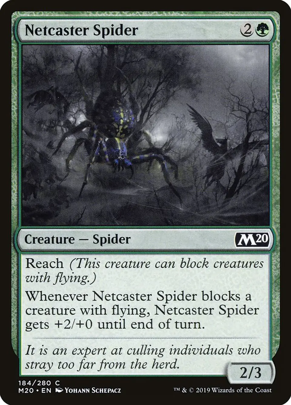 Netcaster Spider 1