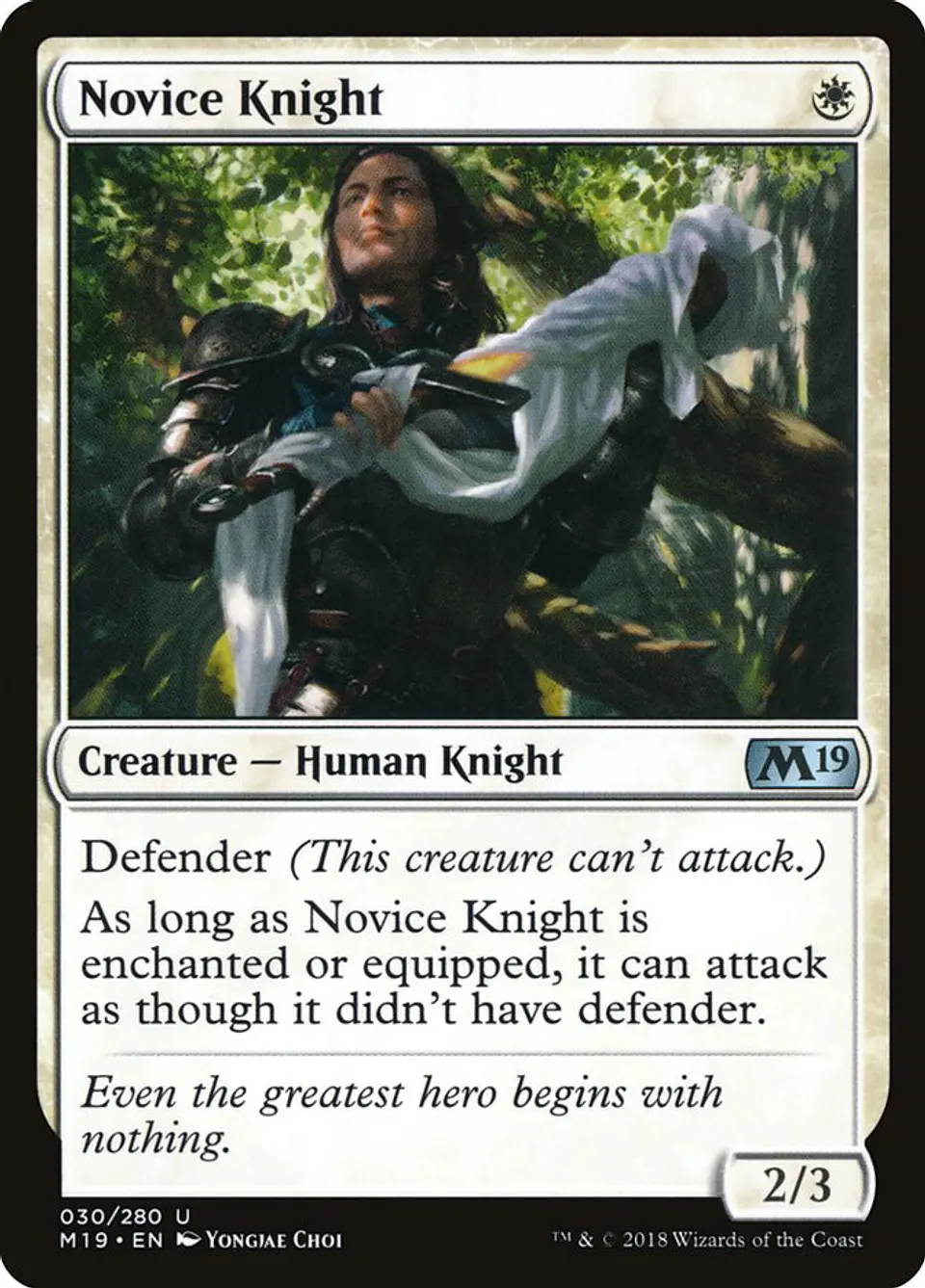 Novice Knight 1