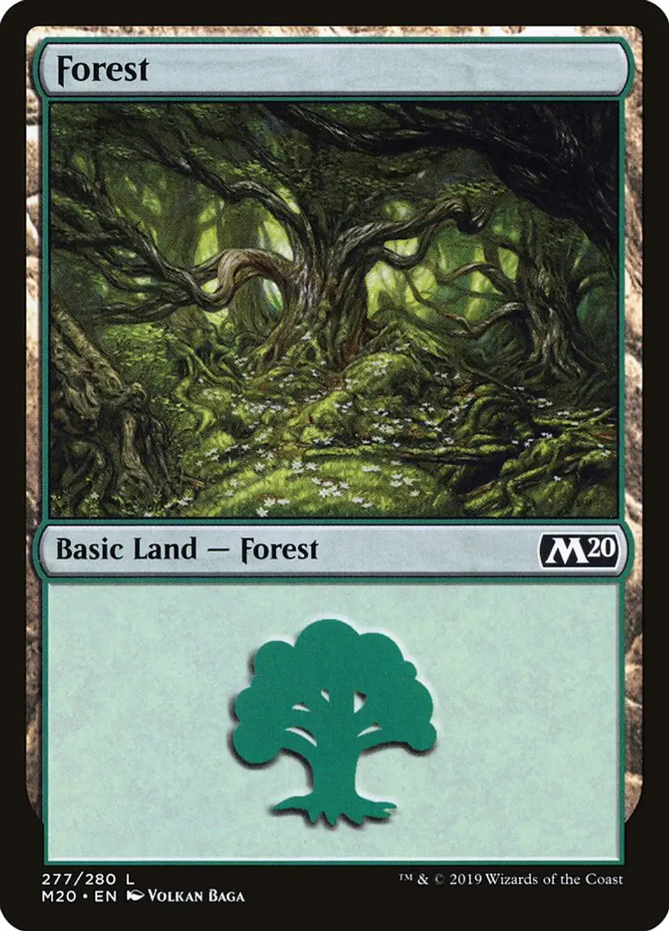 Forest 1