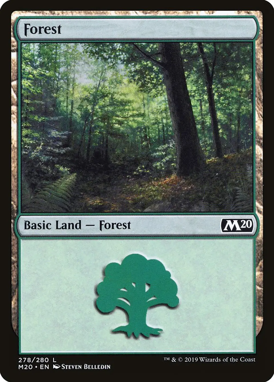Forest 1