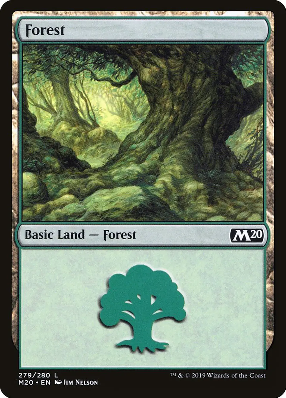 Forest 1