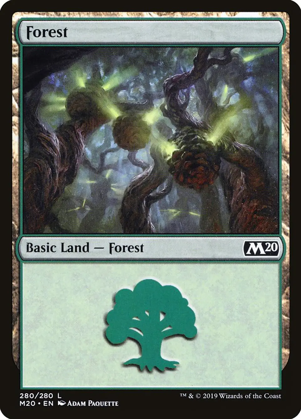 Forest 1