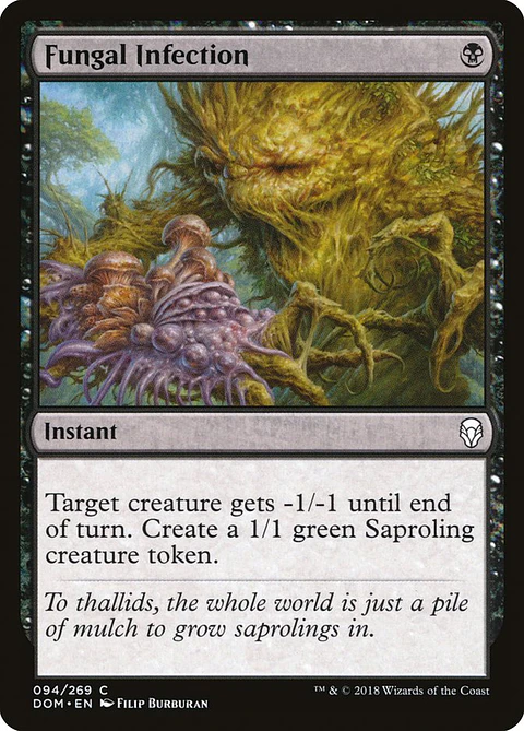 Fungal Infection