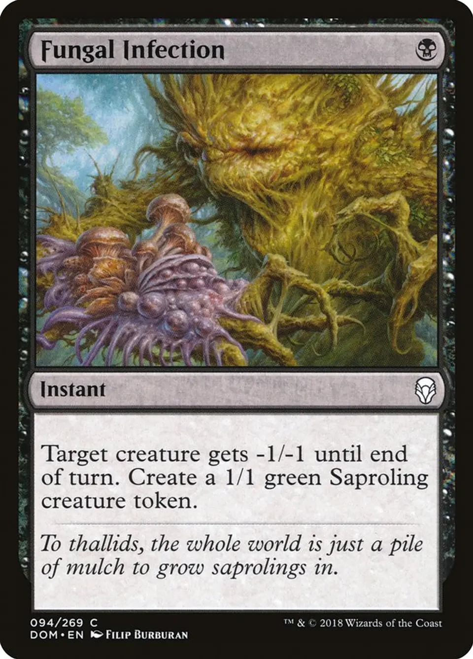 Fungal Infection 1