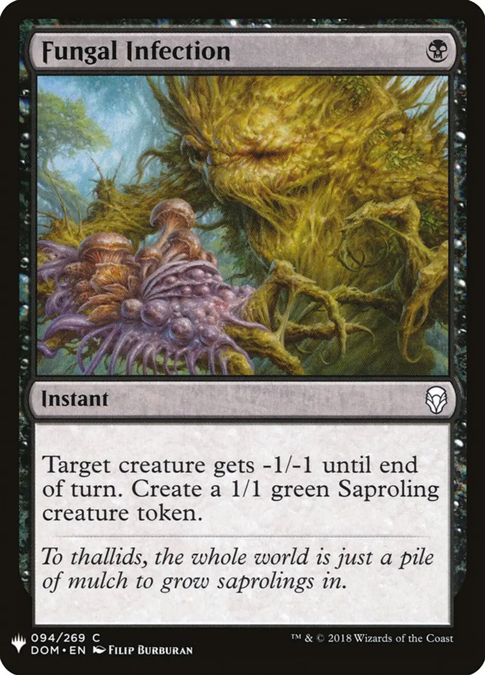 Fungal Infection (The List) 1