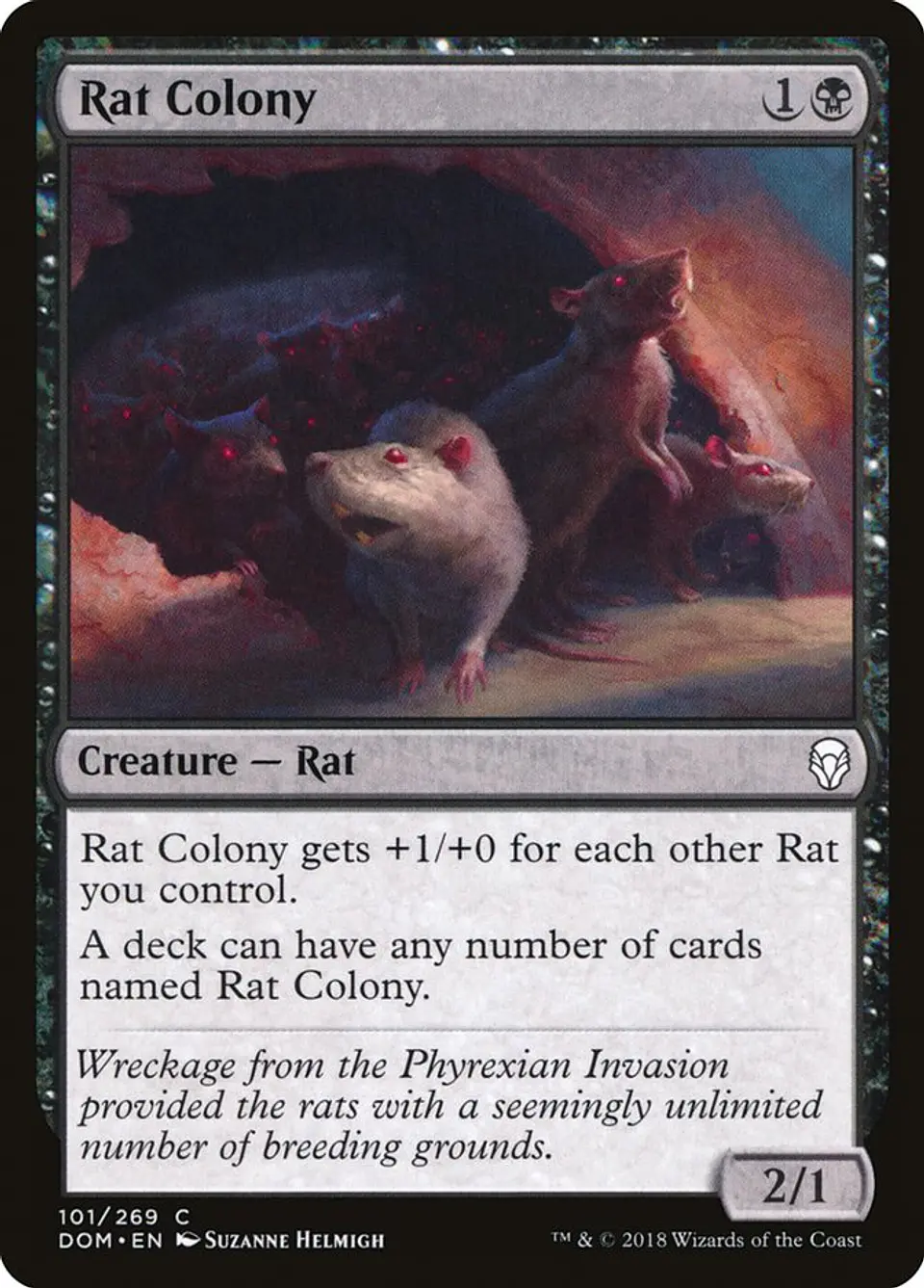 Rat Colony 1