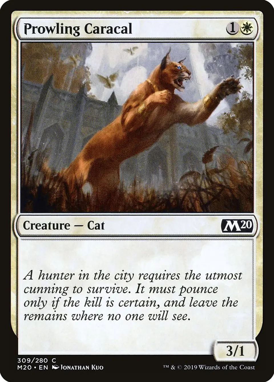Prowling Caracal 1