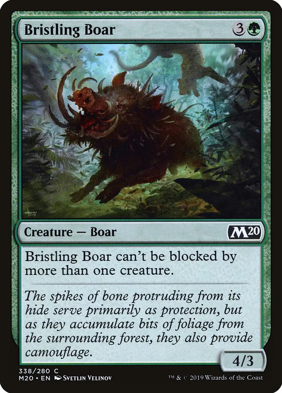 Bristling Boar 1