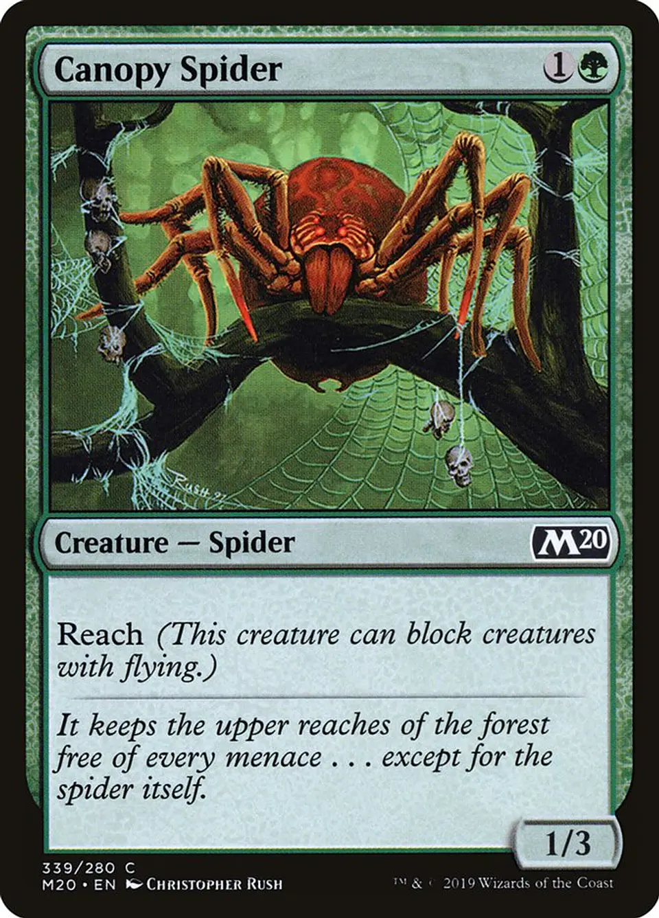 Canopy Spider 1