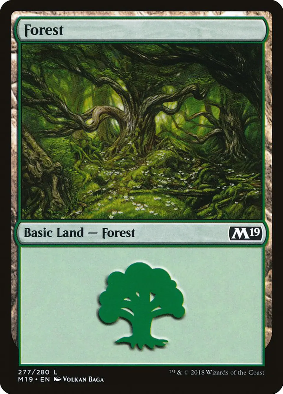 Forest 1
