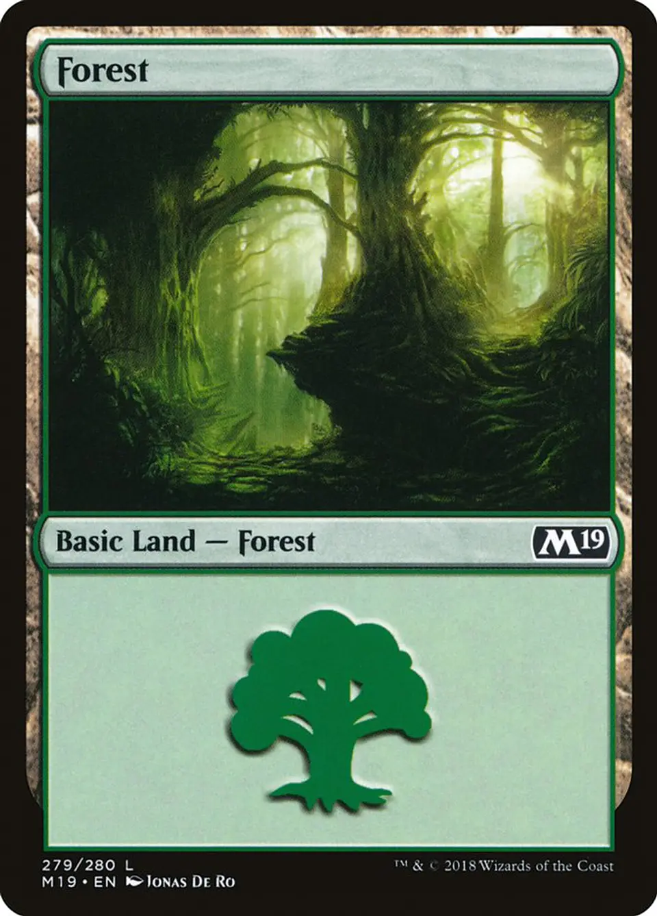 Forest 1