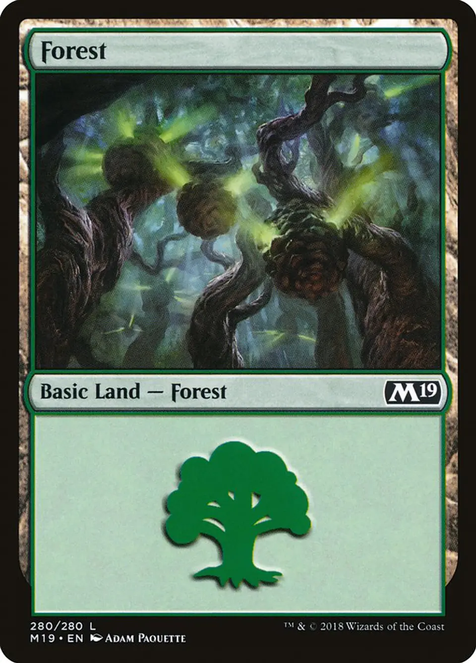 Forest 1