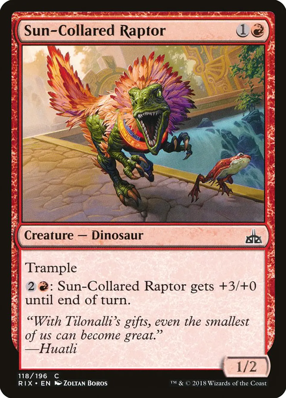 Sun-Collared Raptor 1