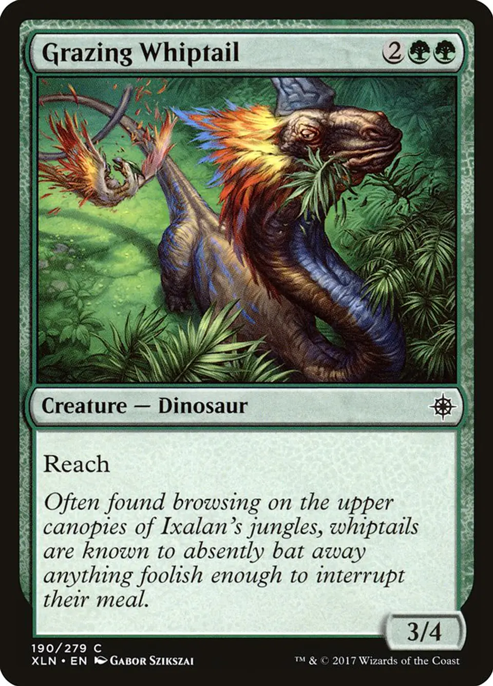 Grazing Whiptail 1