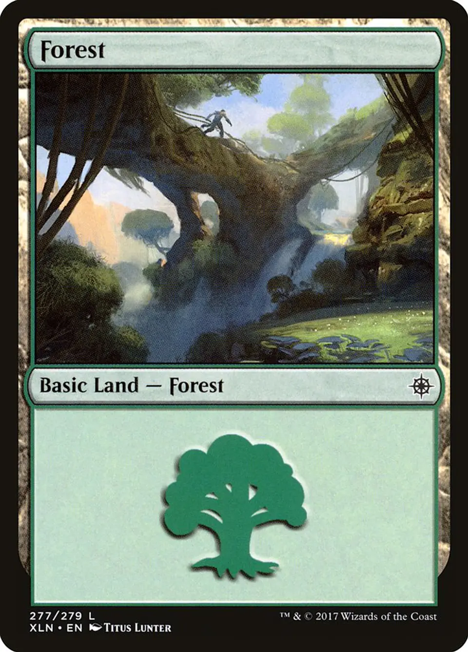Forest 1