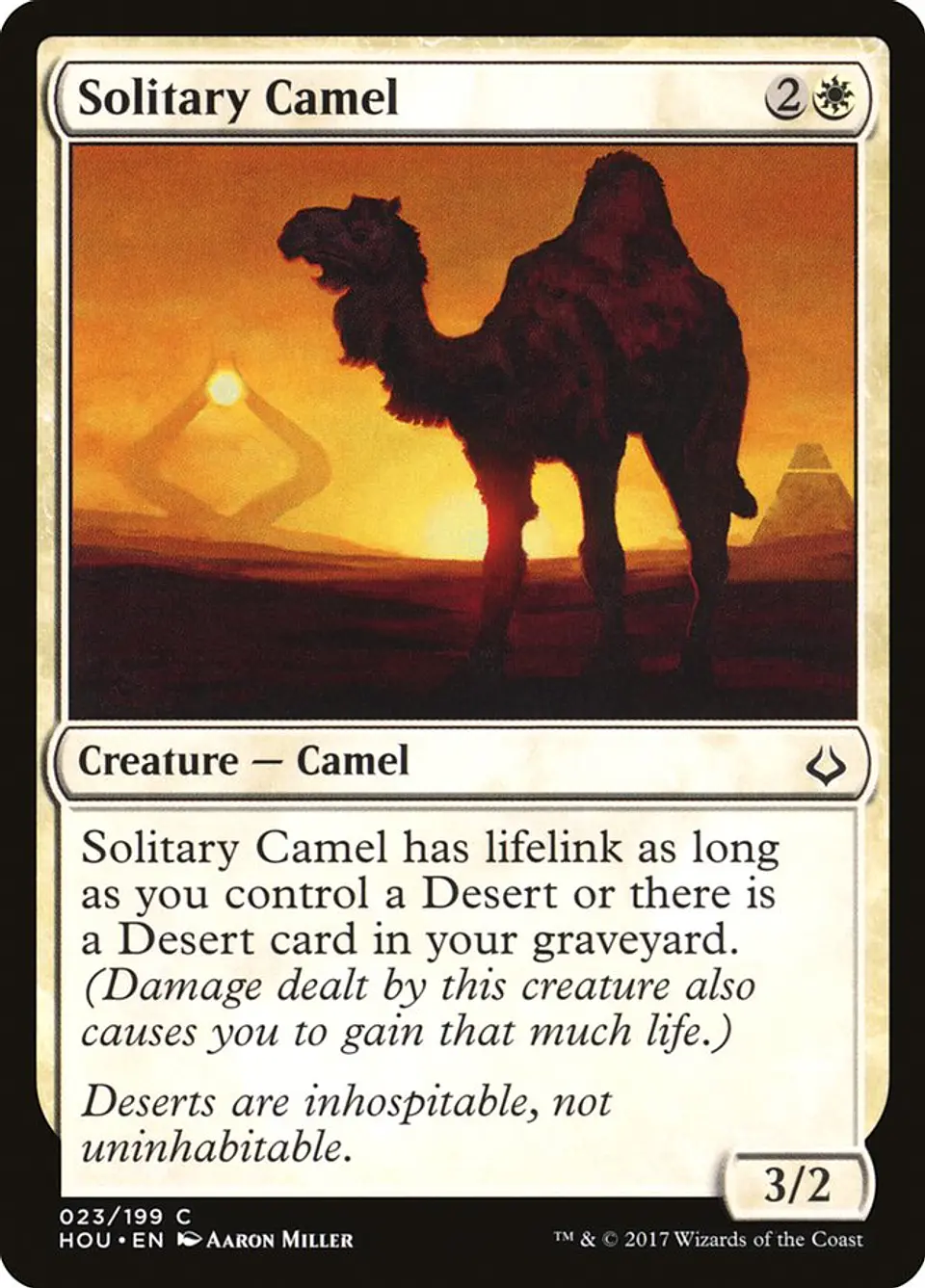 Solitary Camel 1
