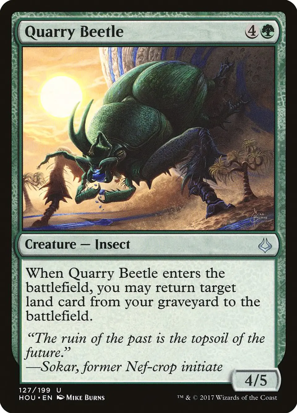 Quarry Beetle 1