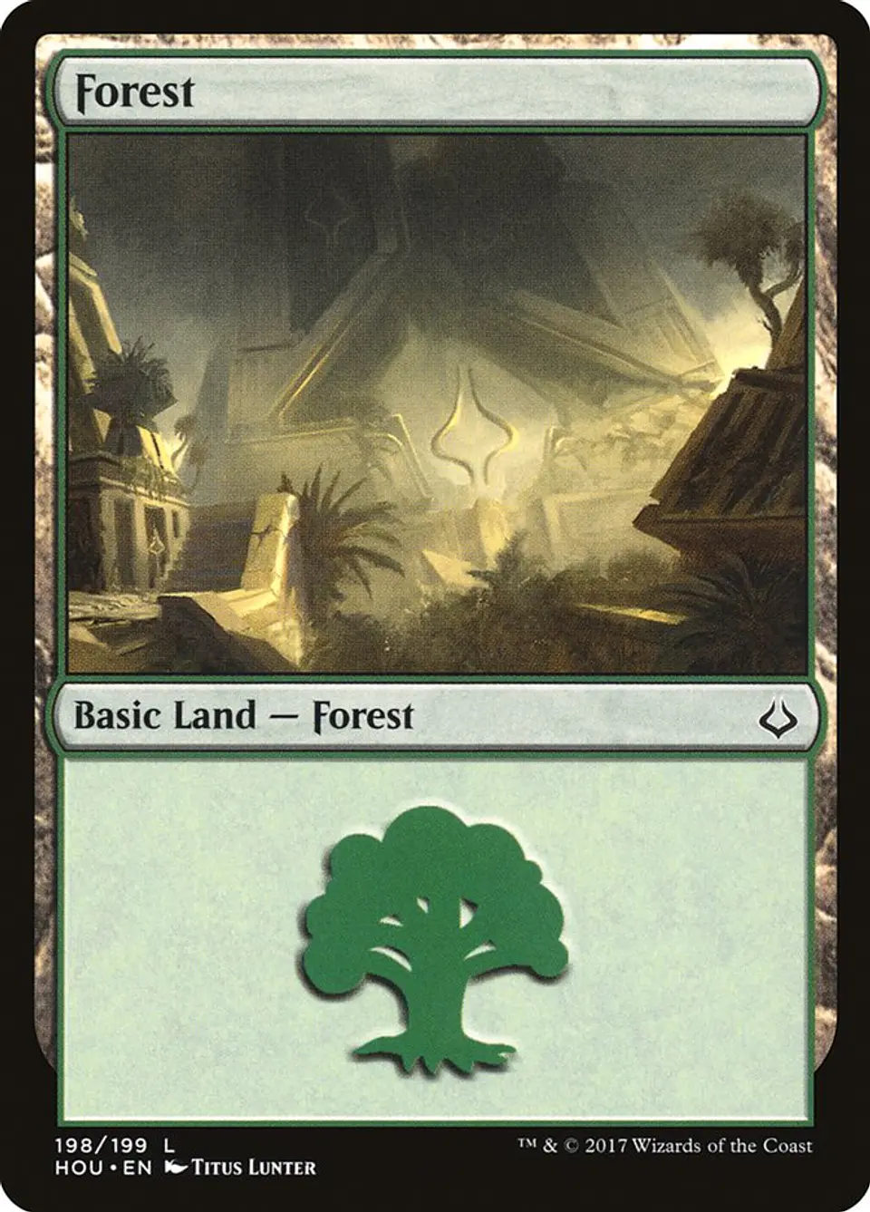 Forest 1
