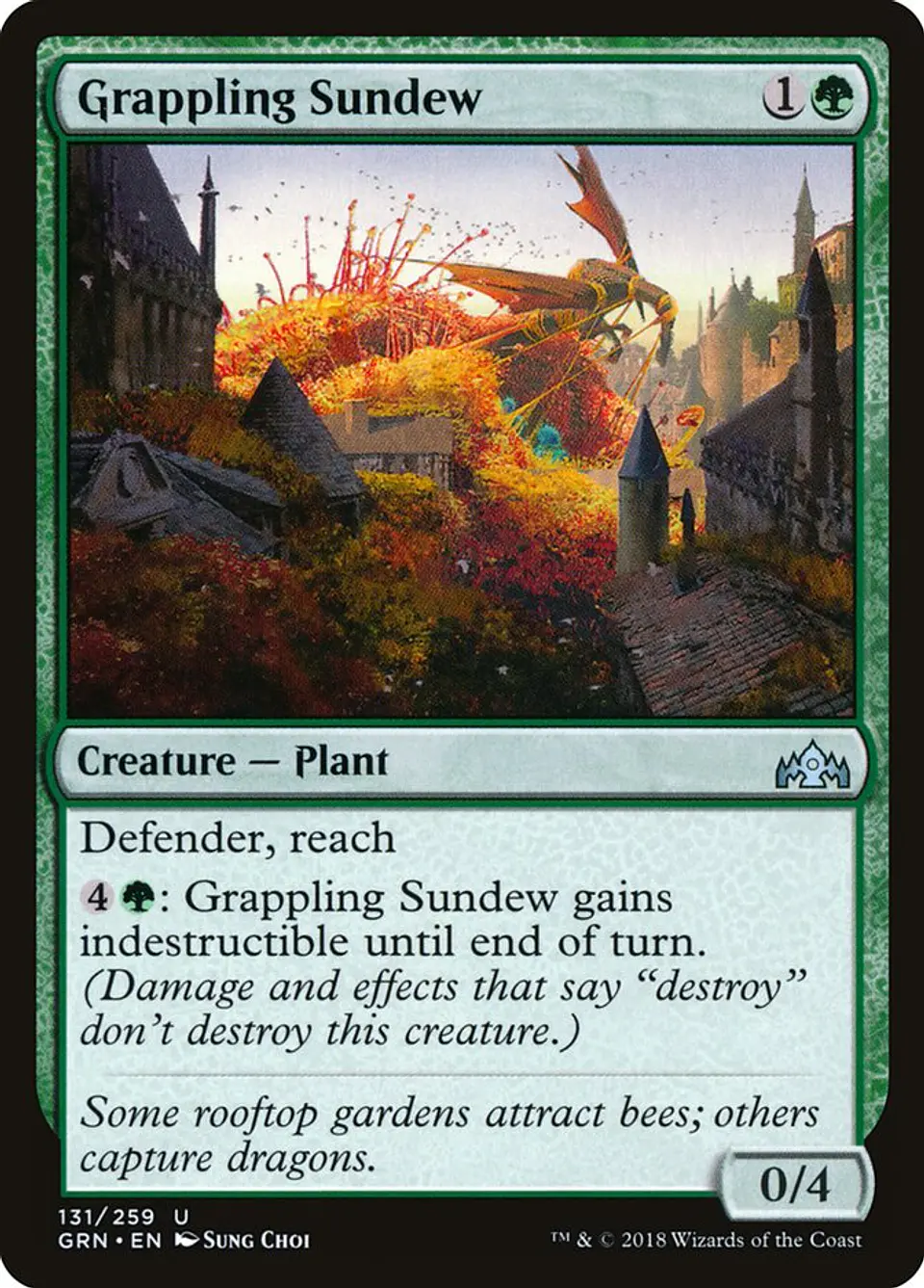 Grappling Sundew 1