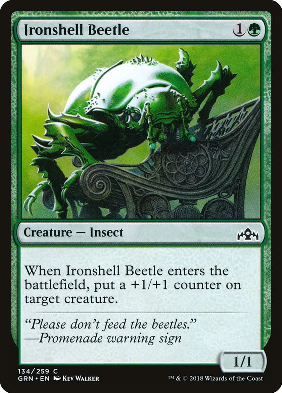Ironshell Beetle 1